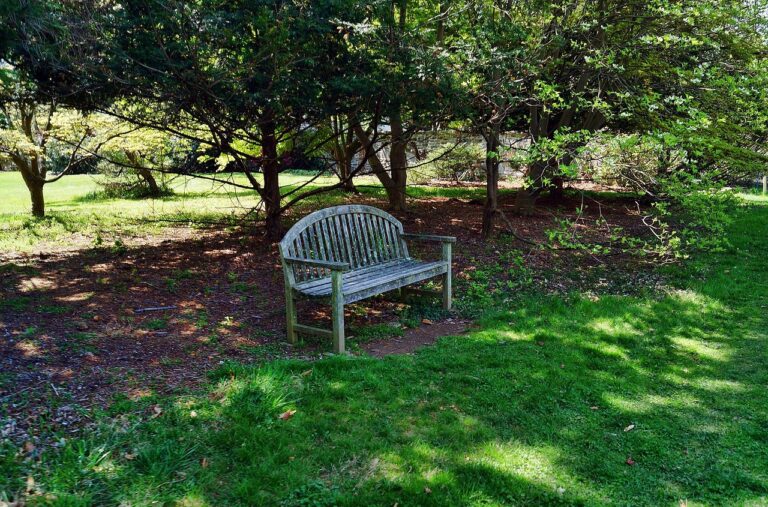 bench, park, seating, trees, landscaping, lawn, nature, grass, outdoors, chair, garden, empty, seat